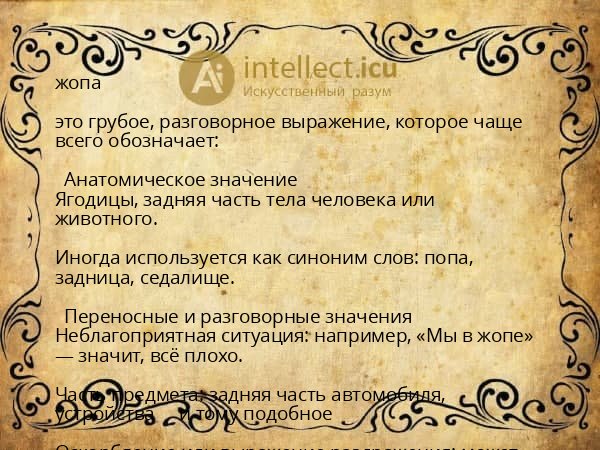 жопа