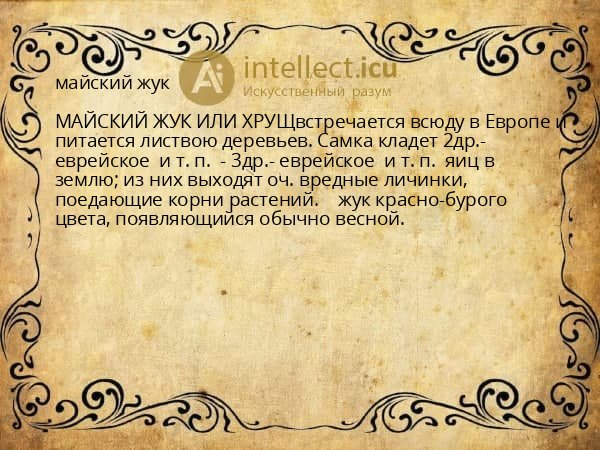 майский жук