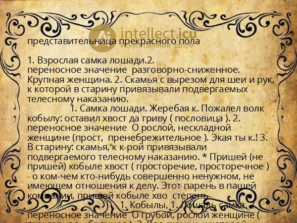 представительница прекрасного пола