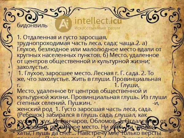 бидонвиль