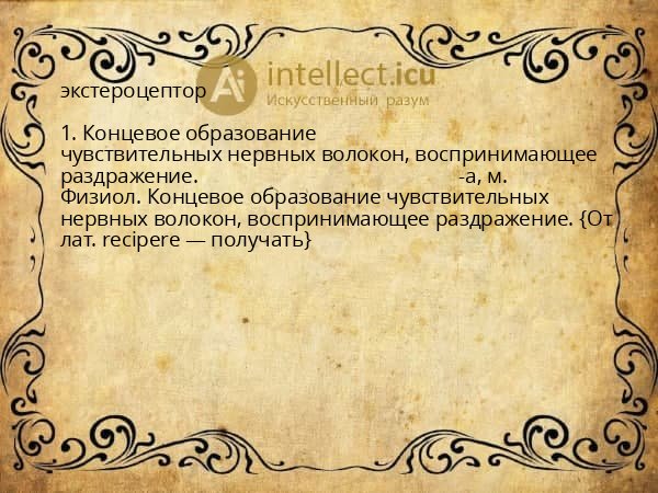 экстероцептор