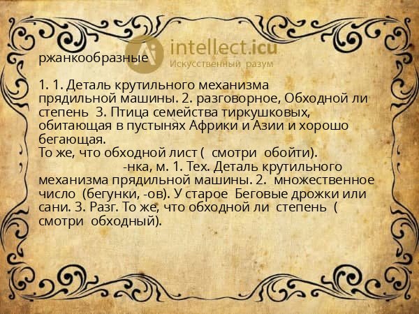 ржанкообразные