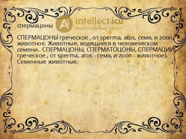 спермацоны