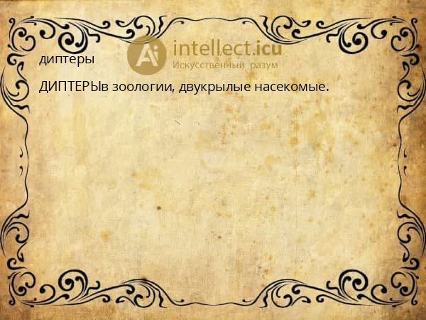 диптеры