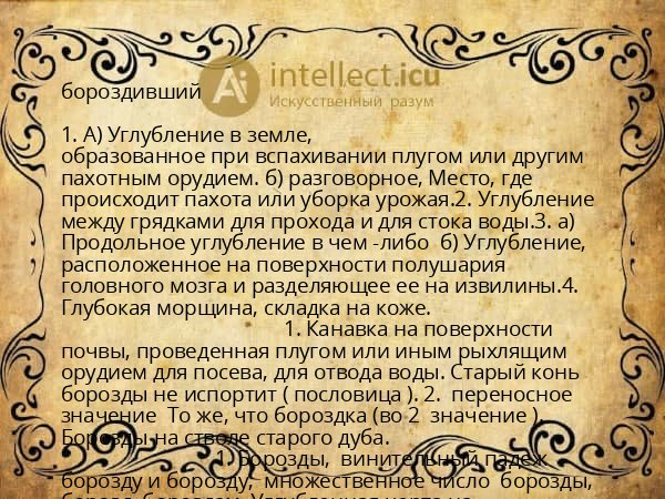 бороздивший