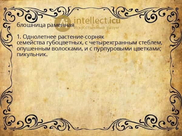 блошница раменная