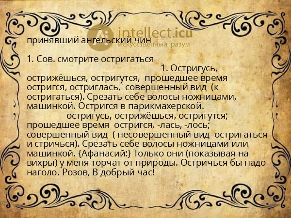 принявший ангельский чин
