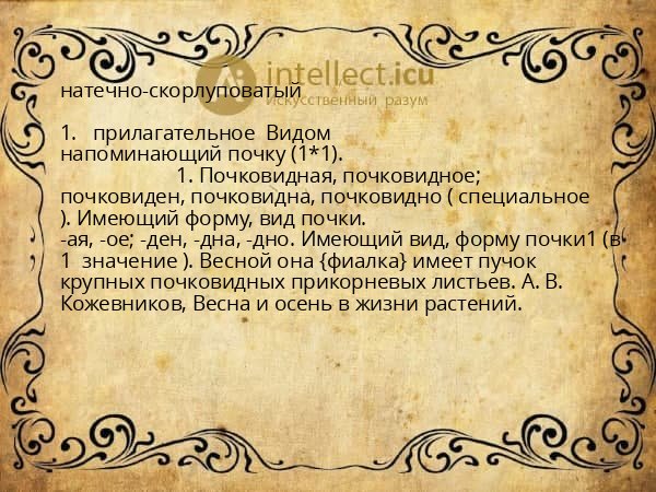 натечно-скорлуповатый