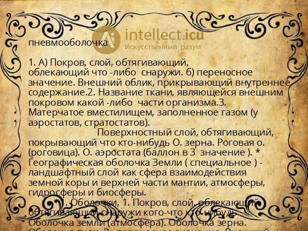 пневмооболочка