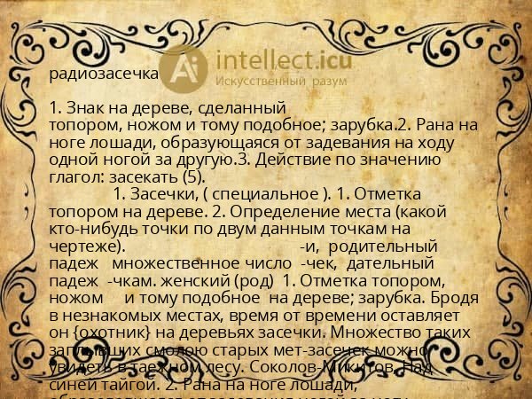 радиозасечка