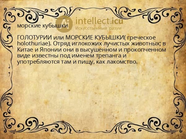 морские кубышки