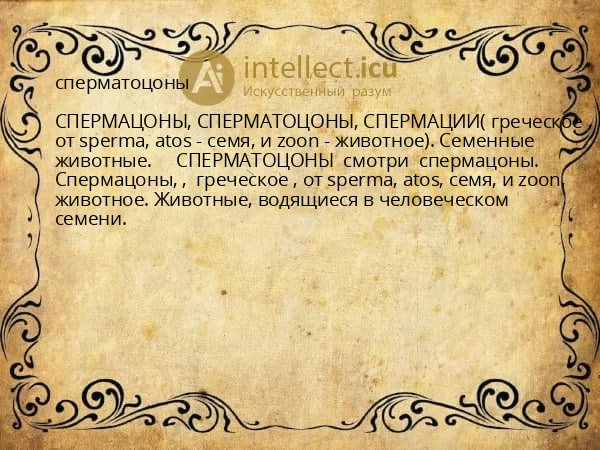 сперматоцоны