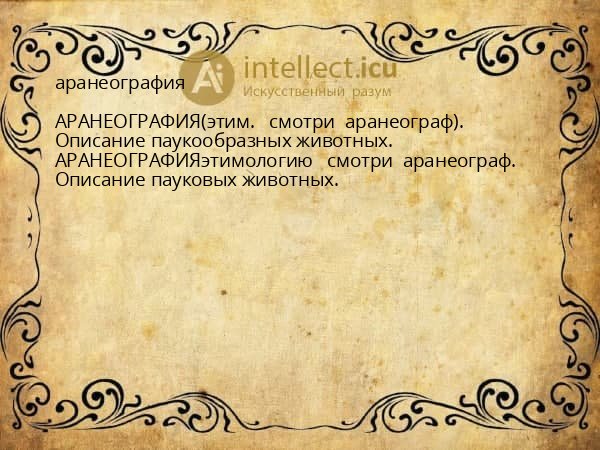 аранеография