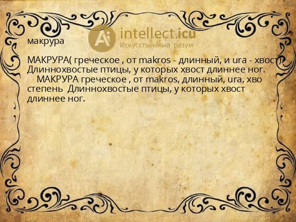 макрура