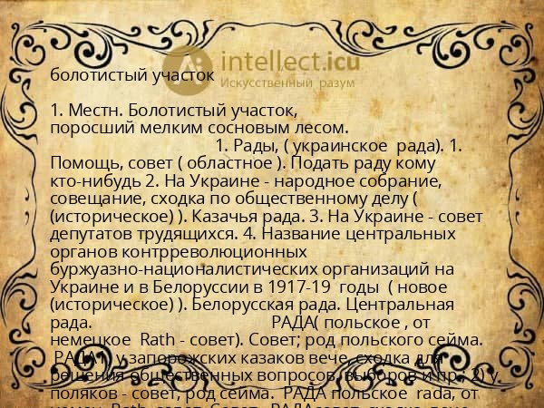болотистый участок