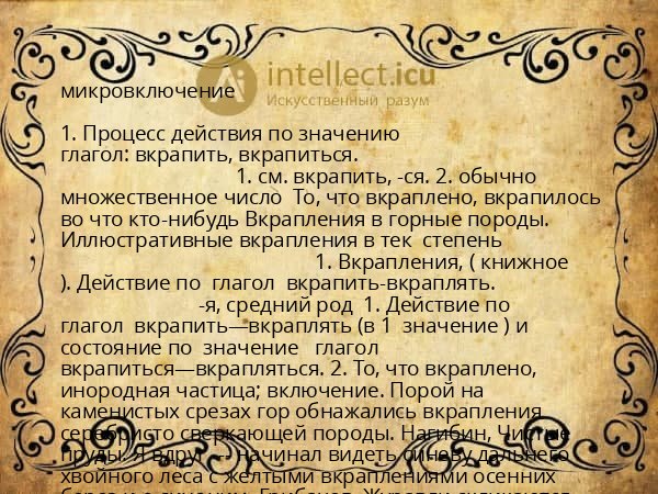 микровключение