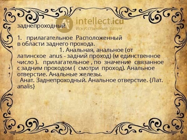 заднепроходный