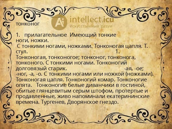 тонконог