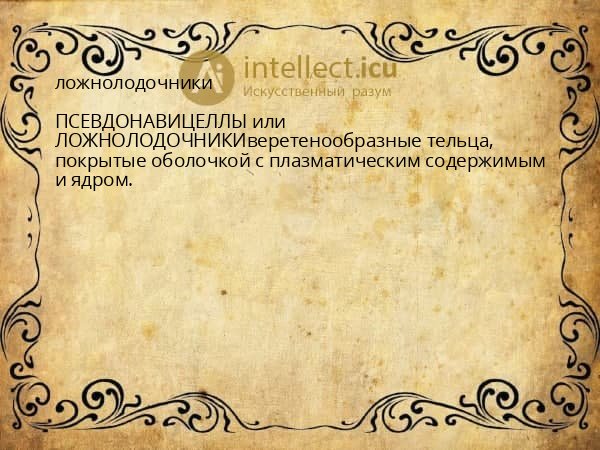 ложнолодочники