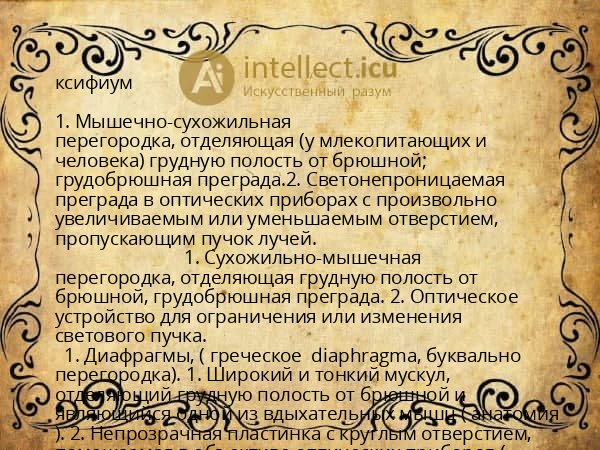 ксифиум