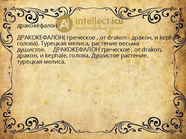дракокефалон