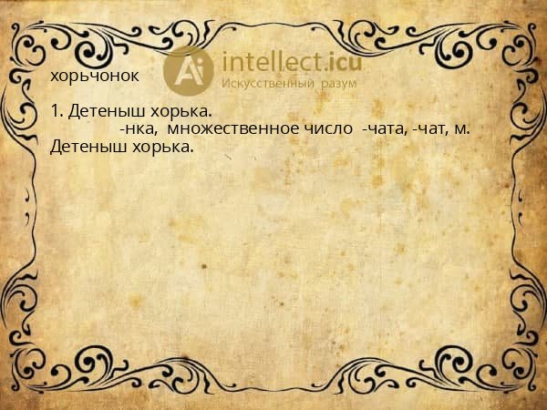 хорьчонок