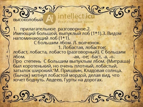 высоколобый