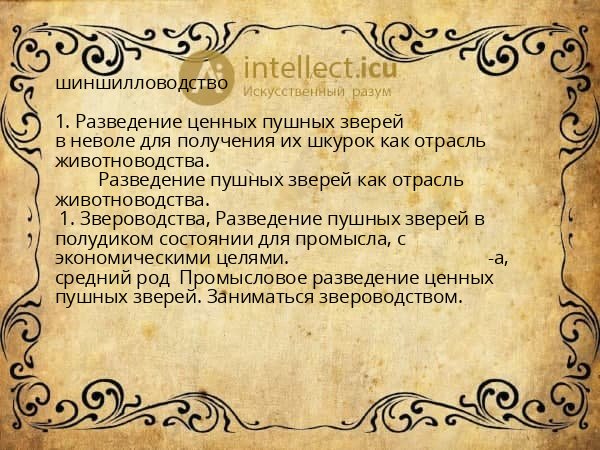 шиншилловодство