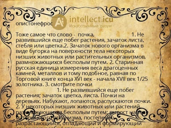 опистонефрос