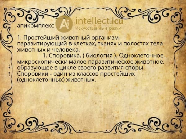апикомплекс