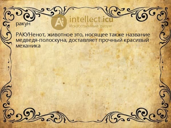 ракун
