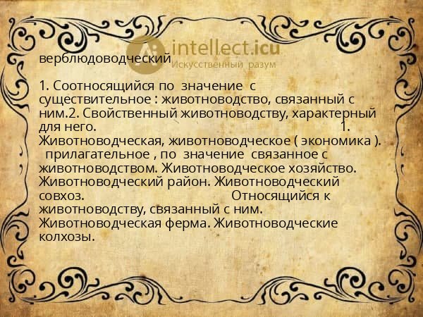 верблюдоводческий