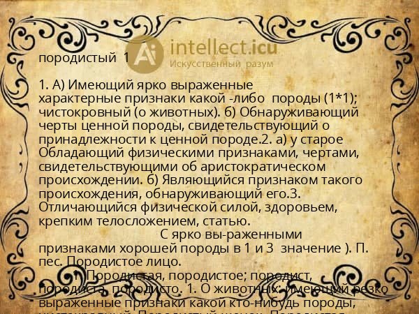 породистый  1