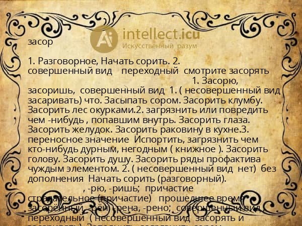 засор