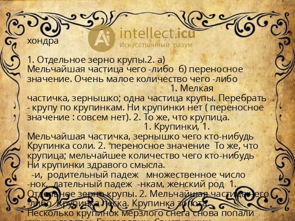 хондра