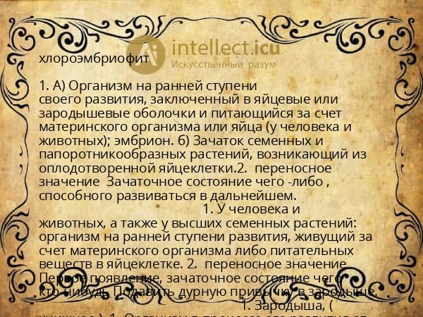 хлороэмбриофит