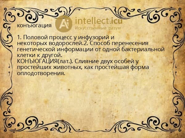 конъюгация