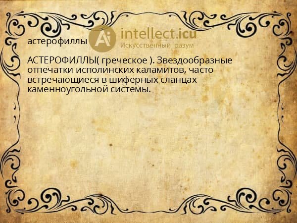 астерофиллы
