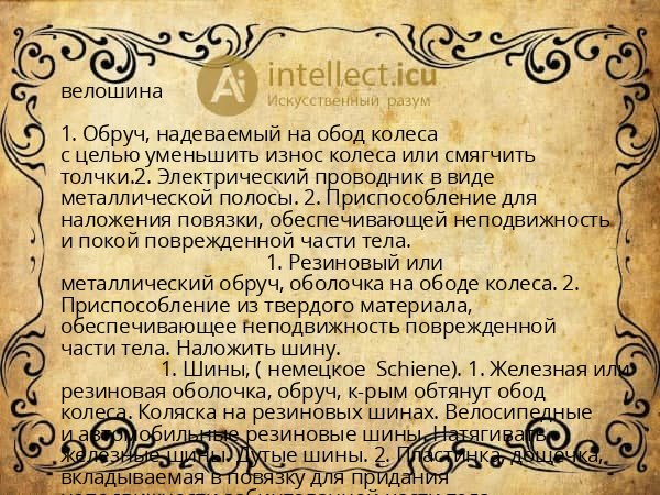 велошина