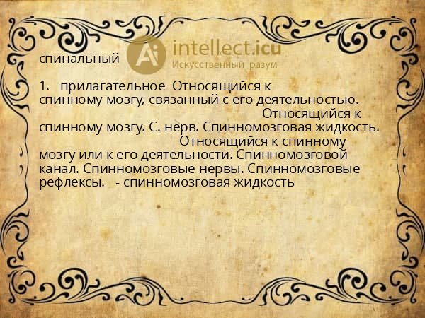 спинальный