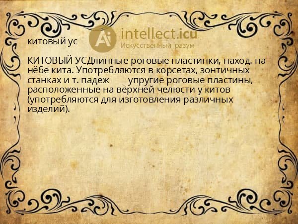 китовый ус