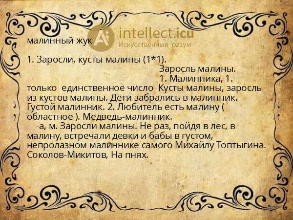 малинный жук