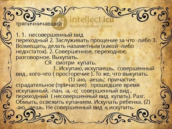 тряпичничавший