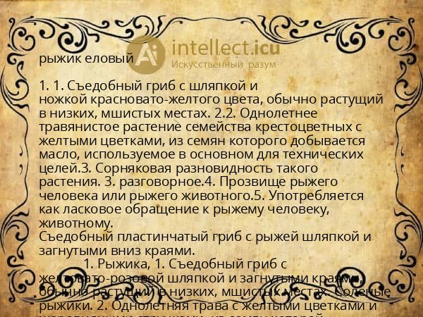 рыжик еловый