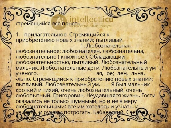 стремящийся все понять
