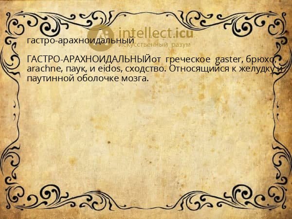гастро-арахноидальный