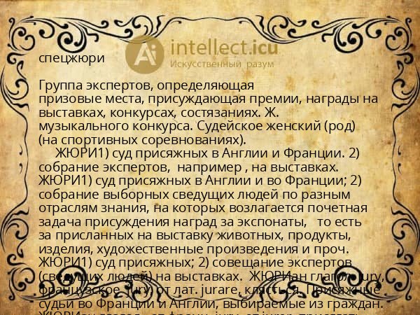 спецжюри