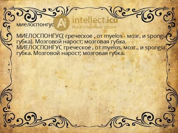 миелоспонгус
