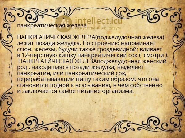 панкреатическая железа