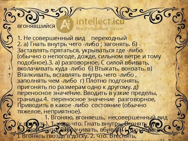 вгонявшийся